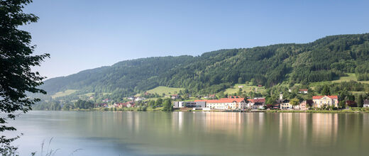 Ufer einer Sees